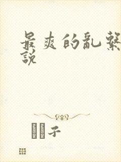 最爽的乱系列小说
