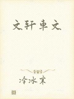 文轩车文