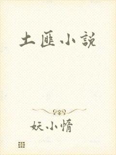 土匪小说