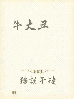 牛大丑封面