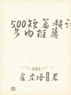 500短篇超污多肉推荐