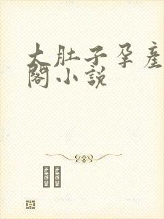 大肚子孕产笔趣阁小说封面