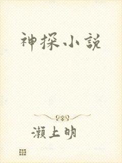 神探小说