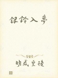 银铃入梦封面