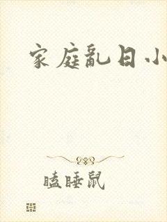 家庭乱日小说