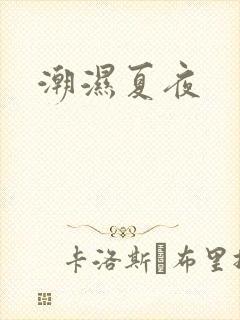 潮湿夏夜封面