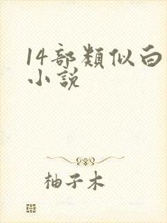 14部类似白洁小说封面