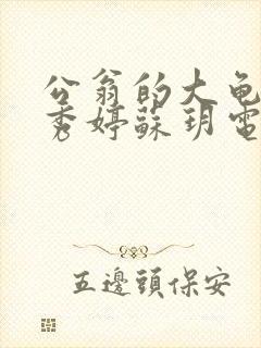 公翁的大龟挺进秀婷苏玥电影封面