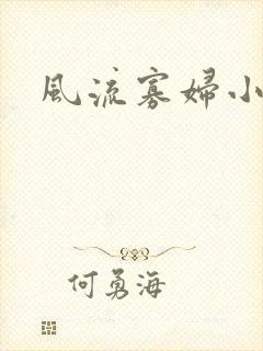 风流寡妇小说