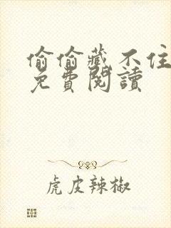 偷偷藏不住小说免费阅读