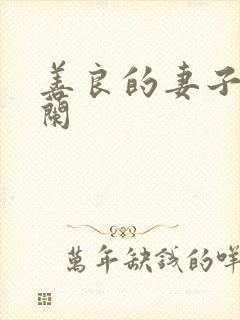 善良的妻子王晓兰封面