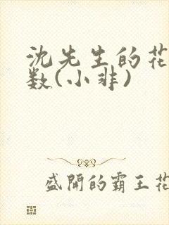 沈先生的花式调数(小非)