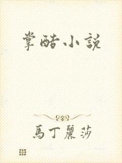 掌酷小说