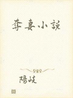 夺妻小说