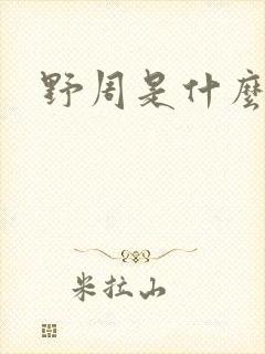 野周是什么意思