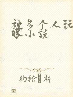 被多个人玩屁股眼小说封面