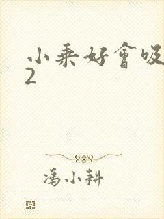 小乘好会吸1V2封面