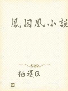 凤囚凰小说