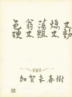 色翁荡熄又大又硬又粗又动态图