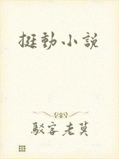 挺动小说