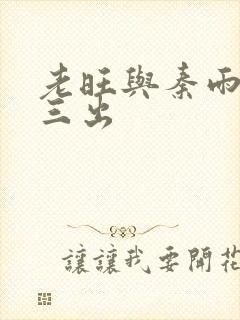 老旺与秦雨三进三出封面