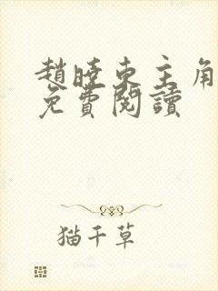 赵晓东主角小说免费阅读封面
