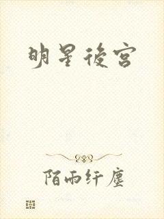 明星后宫