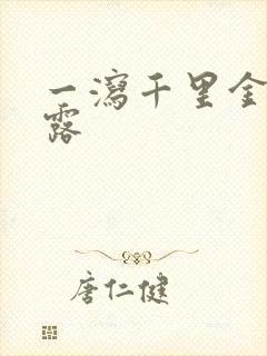 一泻千里金银花露封面