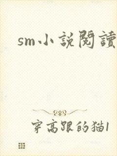 sm小说阅读