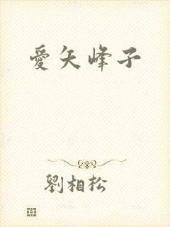 爱矢峰子封面