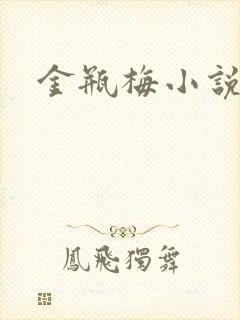 金瓶梅小说