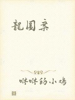 龙图案封面