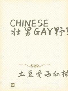 CHINESE壮男GAY野战强迫TUBE