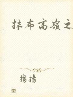 抹布高岭之花