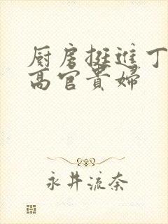 厨房挺进丁字裤高官贵妇