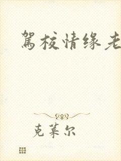 驾校情缘老赵封面