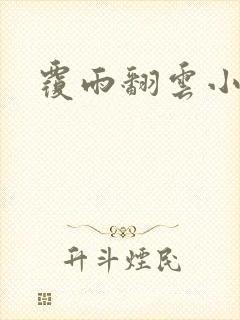 覆雨翻云小说