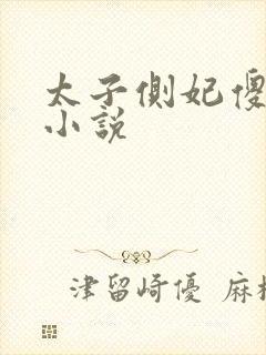 太子侧妃傻乎乎小说
