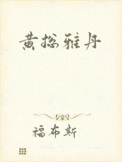 黄总雅丹封面