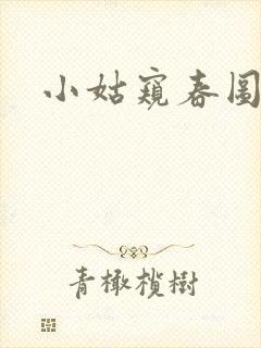 小姑窥春图封面