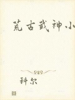 荒古武神小说