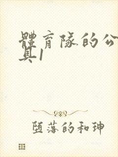 体育队的公用玩具1