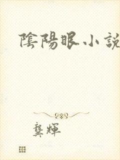 阴阳眼小说封面
