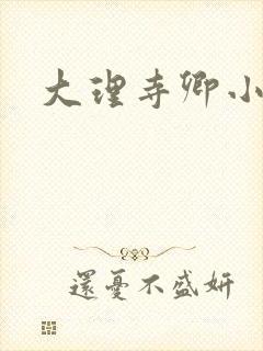 大理寺卿小说
