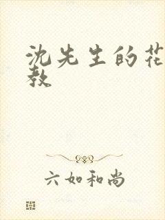 沈先生的花式调教封面