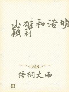 小雄和浩明夹击颖莉封面
