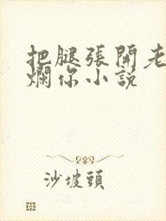 把腿张开老子臊烂你小说