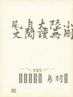 风月大陆小说全文阅读无删减