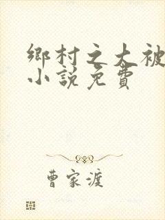 乡村之大被同眠小说免费