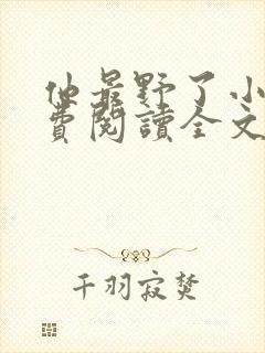 他最野了小说免费阅读全文封面